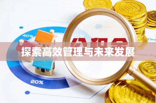 康定探索高效管理与未来发展