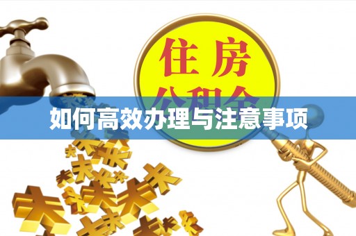 康定如何高效办理与注意事项