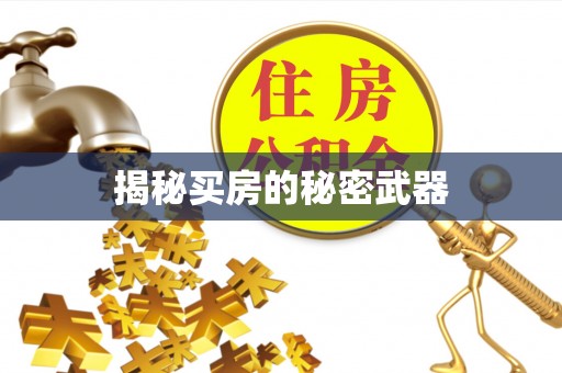 康定揭秘买房的秘密武器