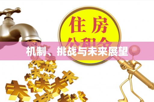 康定机制、挑战与未来展望