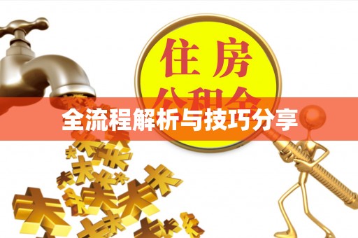 康定全流程解析与技巧分享